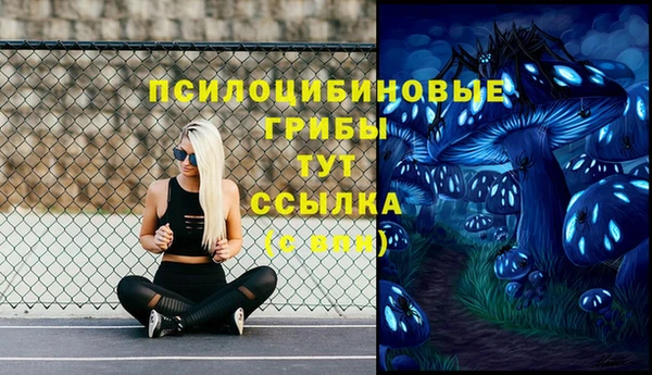 apvp Абдулино