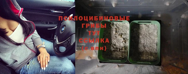 apvp Абдулино